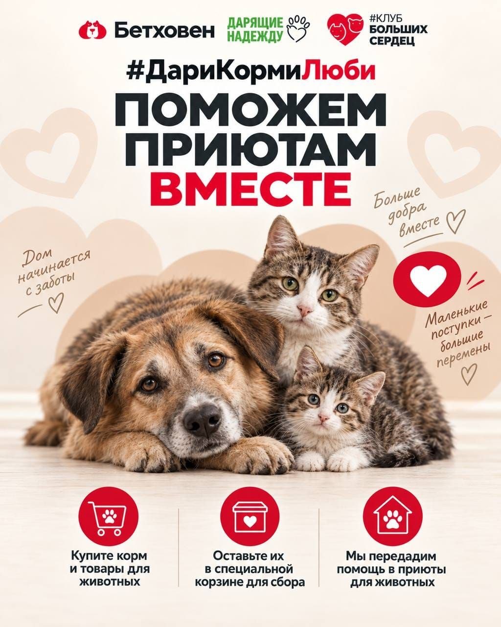 Акция в сети Бетховен